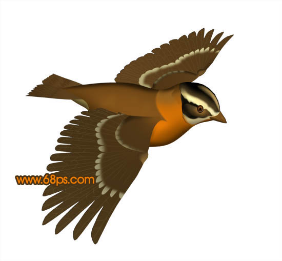 Photoshop打造一只可爱的金色小麻雀