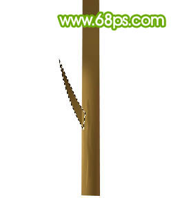 Photoshop����һ�ó�����Ҷ�Ŀ�ͨС��