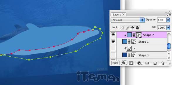 Photoshop将真实海豚照片制作成可爱的卡通海豚图片