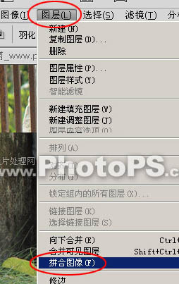 photoshop下将数码照片调亮的方法