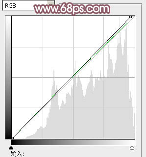 Photoshop将外景女孩图片调成清爽的黄褐色