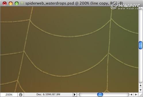 Photoshop打造挂满露珠的蜘蛛网