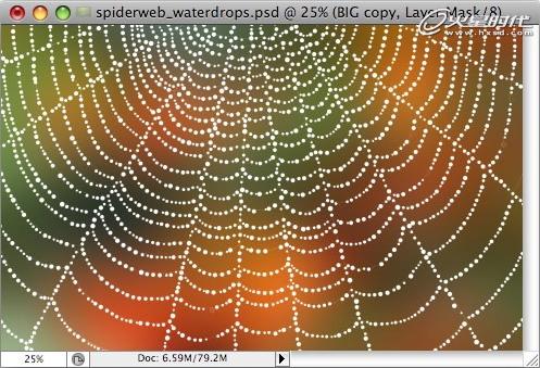 Photoshop打造挂满露珠的蜘蛛网