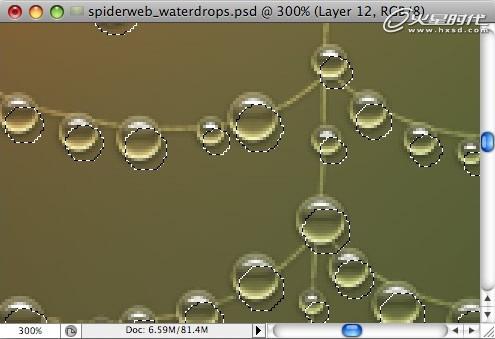 Photoshop打造挂满露珠的蜘蛛网