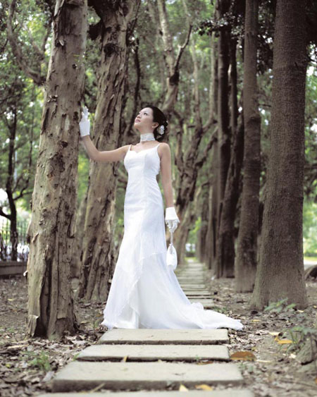 Photoshop为树林照片添加透.视光线效果