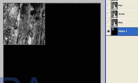 Photoshop为树林照片添加透.视光线效果