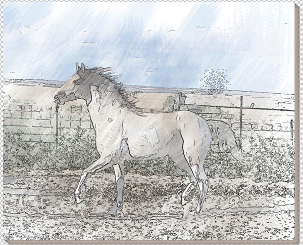 Photoshop把骏马图片转成彩色素描