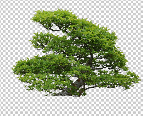 photoshop合成抽象的绿色心脏海报