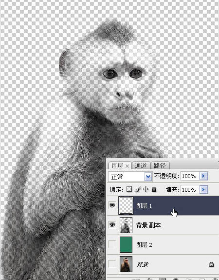 photoshop一图多解找出抠取毛发的最佳方法