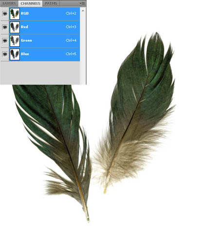 photoshop合成超可爱的奇幻卡通画