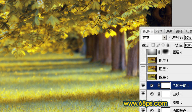 Photoshop将绿荫树林图片调成灿烂的金色调