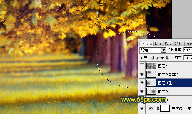 Photoshop将绿荫树林图片调成灿烂的金色调