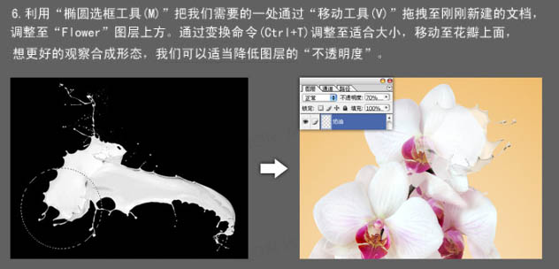 photoshop合成动感的牛奶花朵