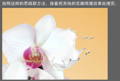 photoshop合成动感的牛奶花朵