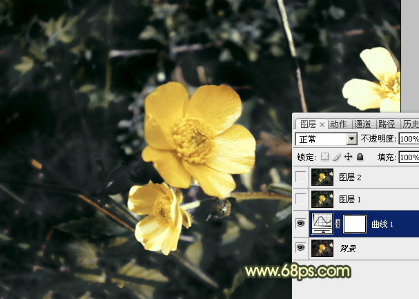 Photoshop将花朵图片调成强对比的暗黄色