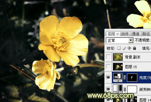 Photoshop将花朵图片调成强对比的暗黄色
