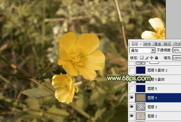 Photoshop将花朵图片调成强对比的暗黄色