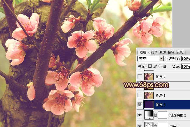Photoshop调出桃花图片漂亮的粉红色