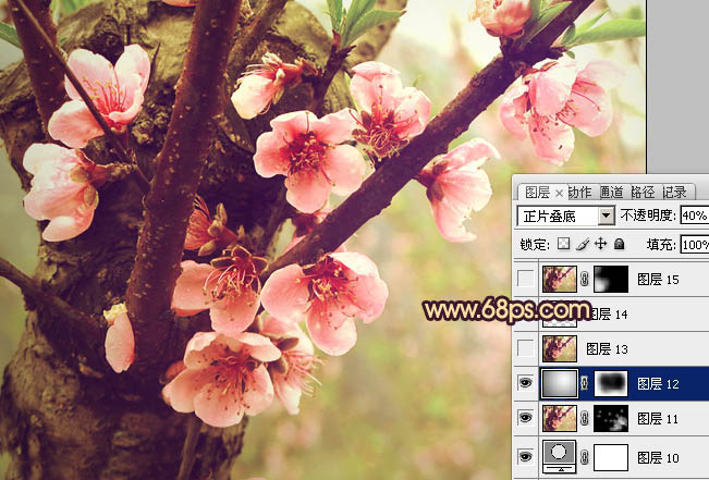 Photoshop调出桃花图片漂亮的粉红色