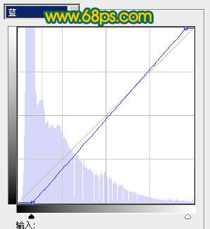 Photoshop制作鲜丽的橙黄色郁金香图片