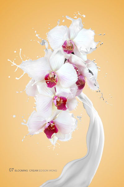Photoshop合成牛奶泼洒出纯白色花朵的效果”