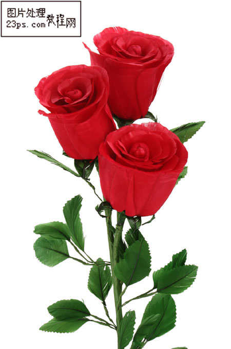 Photoshop快速制作漂亮的金黄色玫瑰花