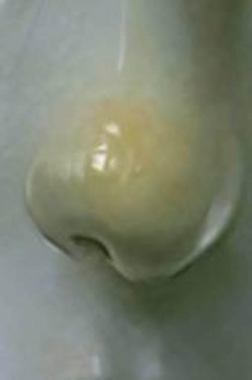 photoshop鼠绘悲切的别离插画