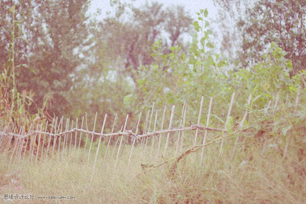 ps利用曲线调出偏暗风景图片鲜艳的绿紫色
