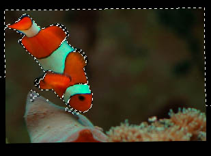 Photoshop打造奇趣的水纹字