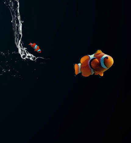 Photoshop打造奇趣的水纹字