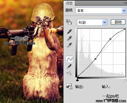 photoshop合成滑稽的松鼠士兵