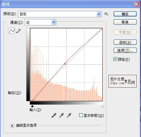 Photoshop将森林图片调成柔美的金色调