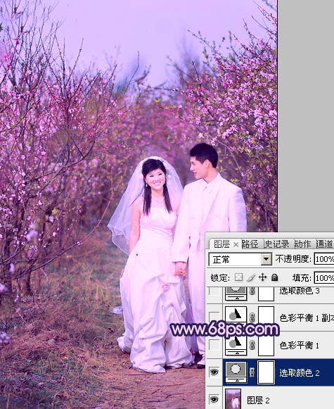 Photoshop将桃林婚片调成艳丽的紫红色