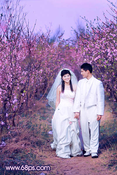 Photoshop将桃林婚片调成艳丽的紫红色