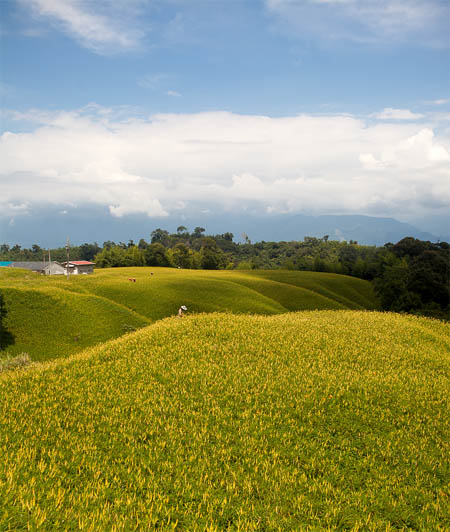 photoshop合成墙帘后的奇幻世界