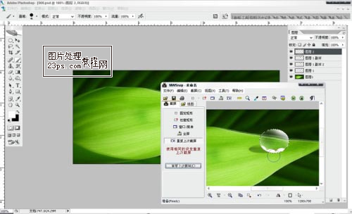 Photoshop将制作出漂亮绿叶上的水珠