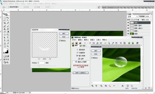 Photoshop将制作出漂亮绿叶上的水珠