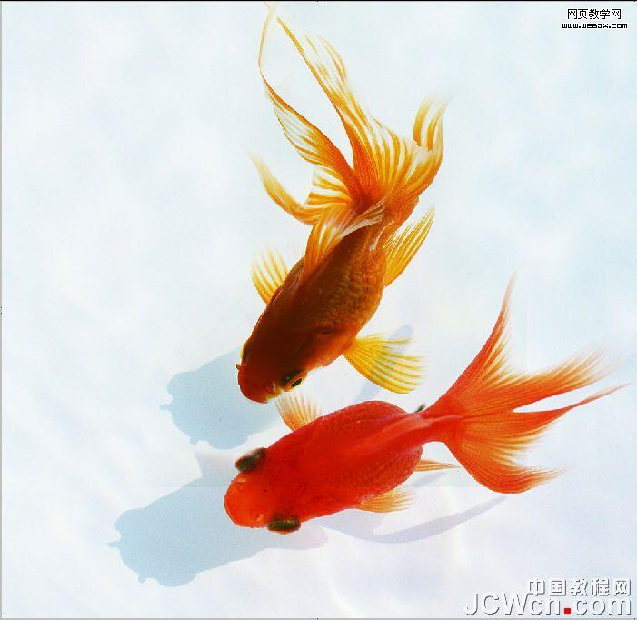 Photoshop将制作出真实好看的水波涟漪动画实例教程