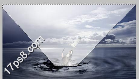 photoshop将合成鲸鱼越出水面掠夺海鸥食物场景效果