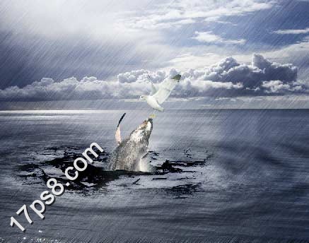 photoshop将合成鲸鱼越出水面掠夺海鸥食物场景效果