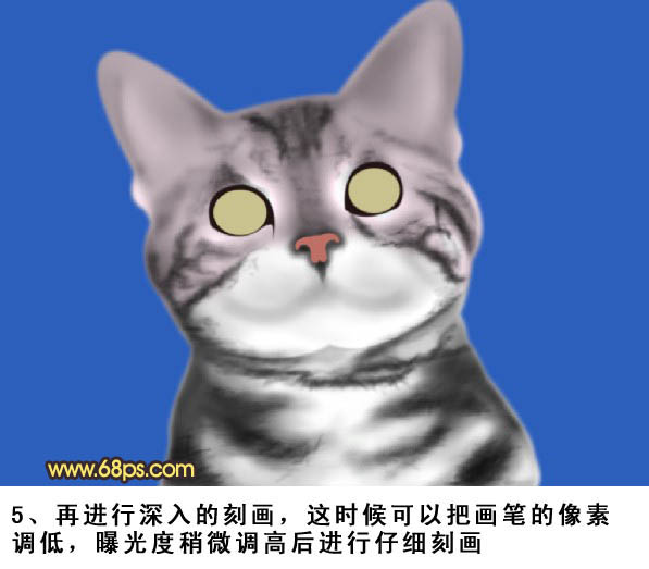 PS将鼠绘出神态逼真可爱的小灰猫