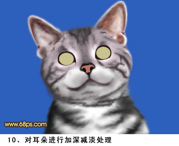 PS将鼠绘出神态逼真可爱的小灰猫