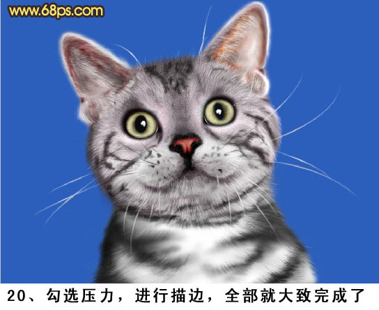 PS将鼠绘出神态逼真可爱的小灰猫