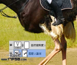photoshop将马与鸵鸟合制成一种动物