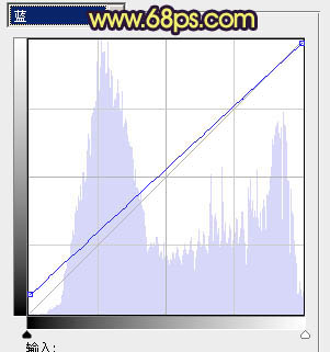 Photoshop将树林美女婚片调制成梦幻的黄蓝色