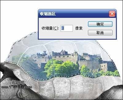 photoshop将城堡乌龟沙漠合成生态保护壁纸海报效果