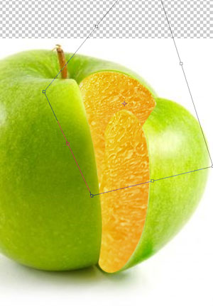 photoshop把橙子的果肉合成到苹果里面