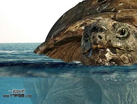 photoshop合成制作海龟岛&shy;自然场景