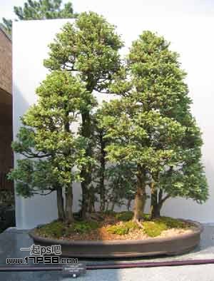 photoshop合成浪漫奇幻山谷仙境美女效果