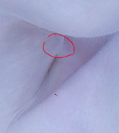 Photoshop打造超经典的粉蓝色水晶人像效果